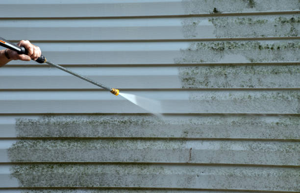 Best Building Exterior Washing  in Park City, MT